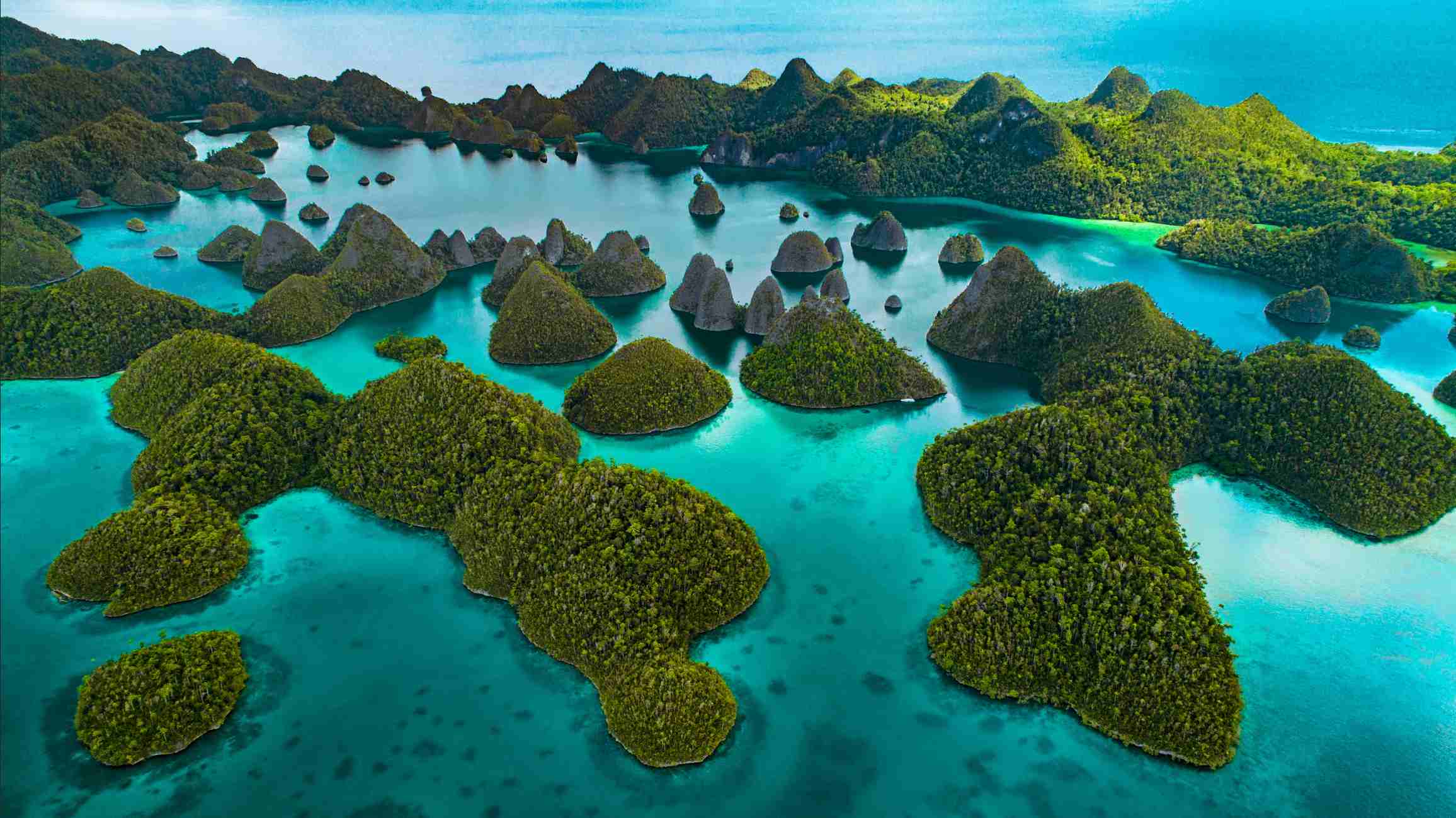 9D8N Raja Ampat Tour
