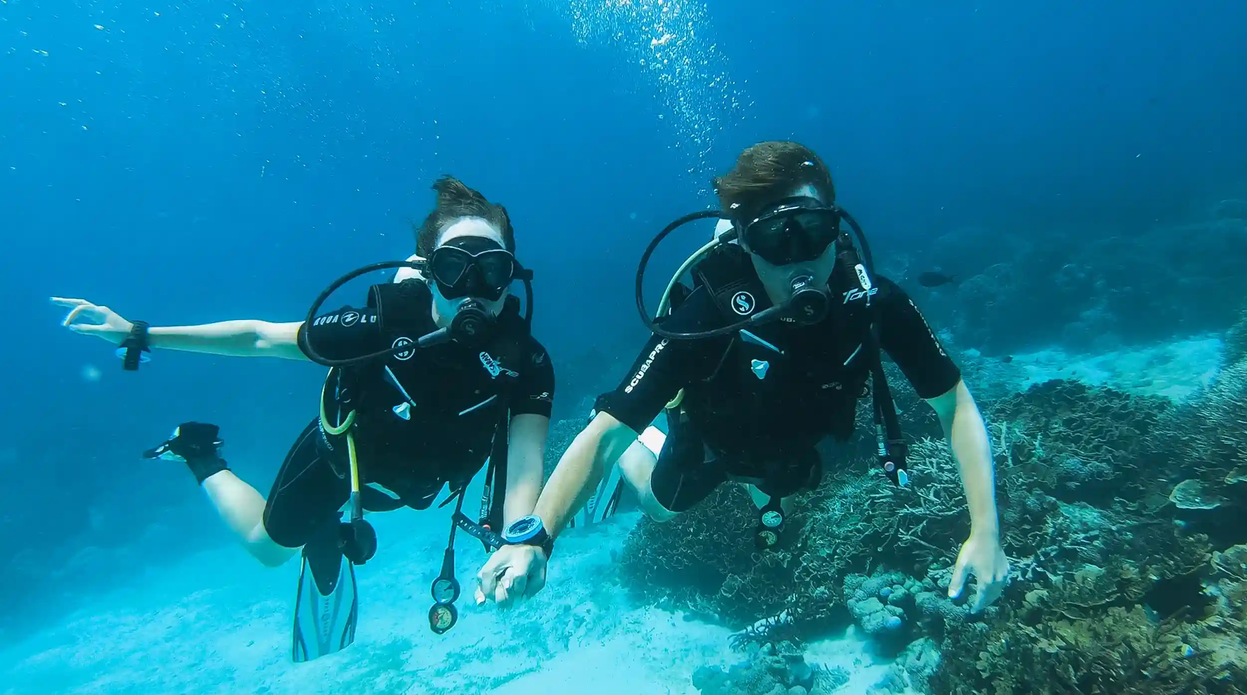 Diving | Komodo to Sumbawa Tour | Komodo Tour | Komodo Luxury