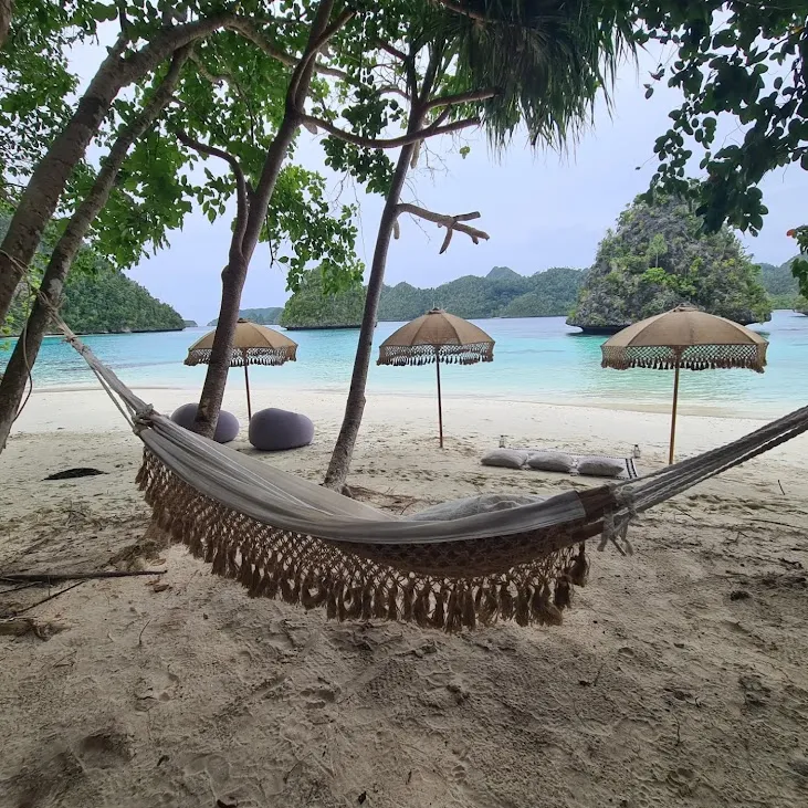 Anne Bonny Liveaboard | Raja Ampat Diving Tour | Komodo Dragon Tour | Komodo Luxury