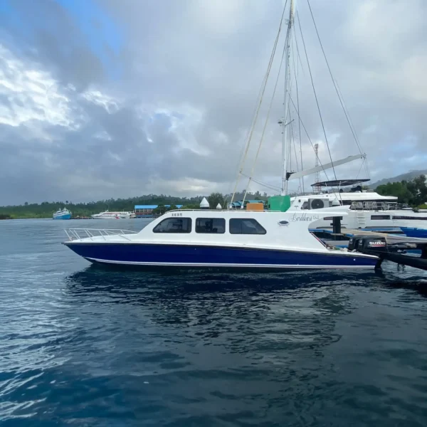 Berdikari 2 Speedboat - KomodoLuxury