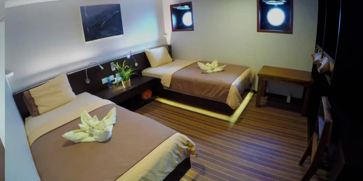 blue manta lower cabin twin