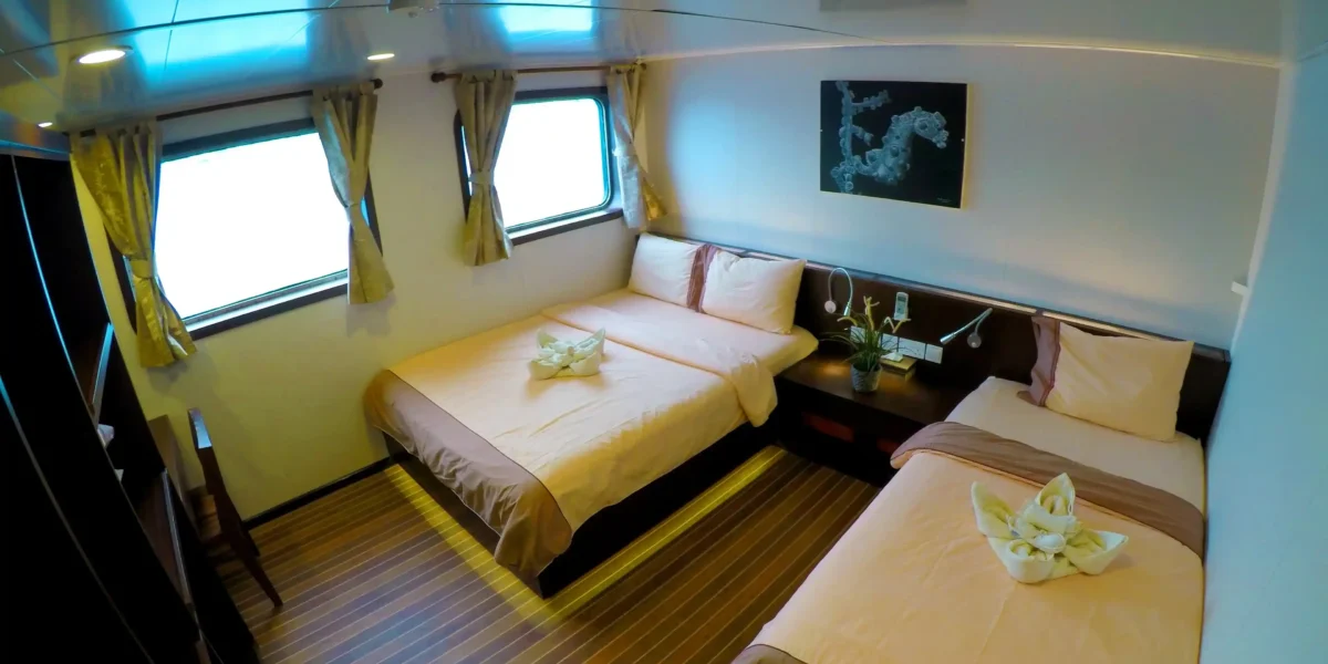 Blue Manta main deck cabin double single