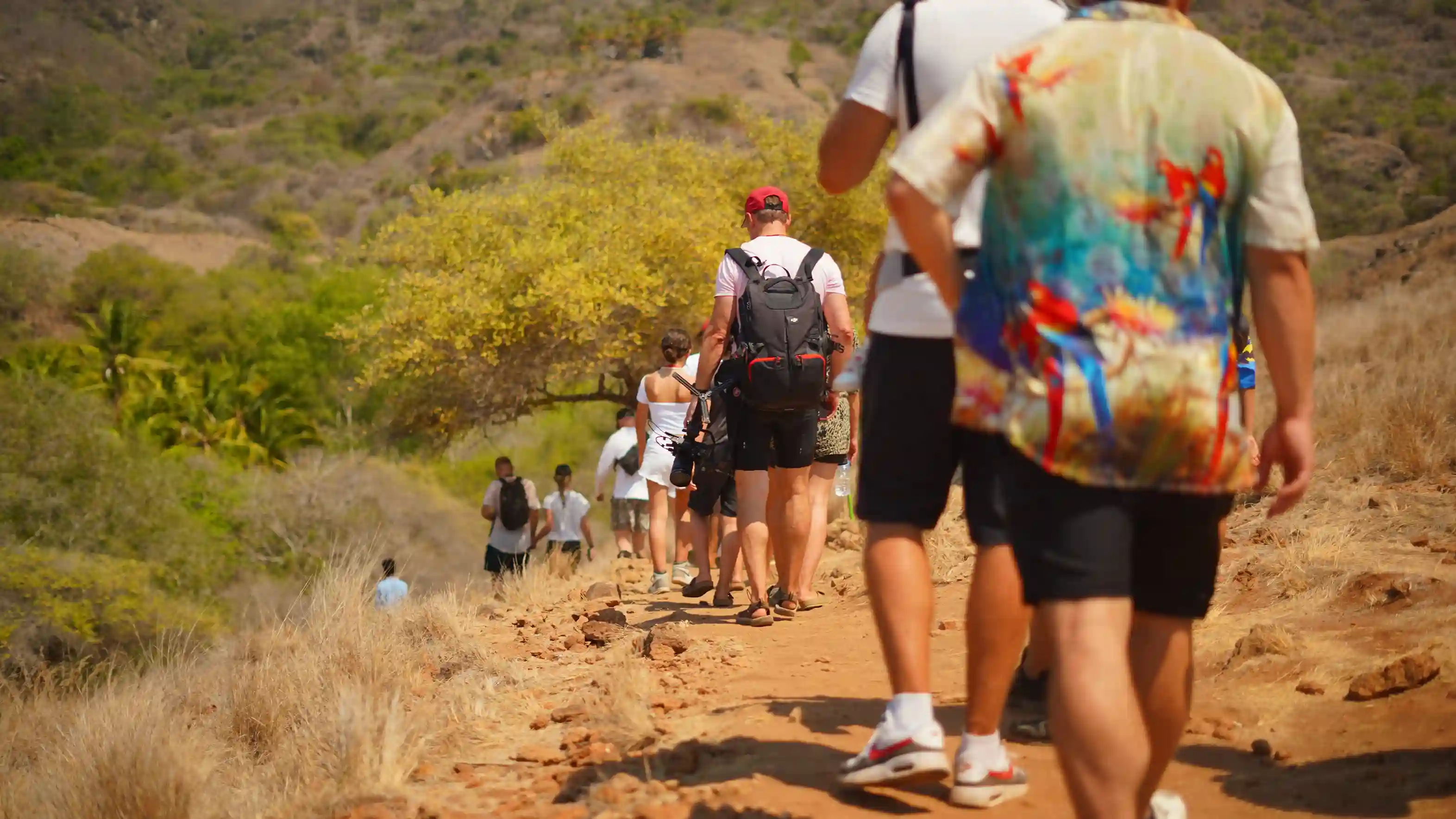Trekking Activity on Komodo Island | Komodo Luxury