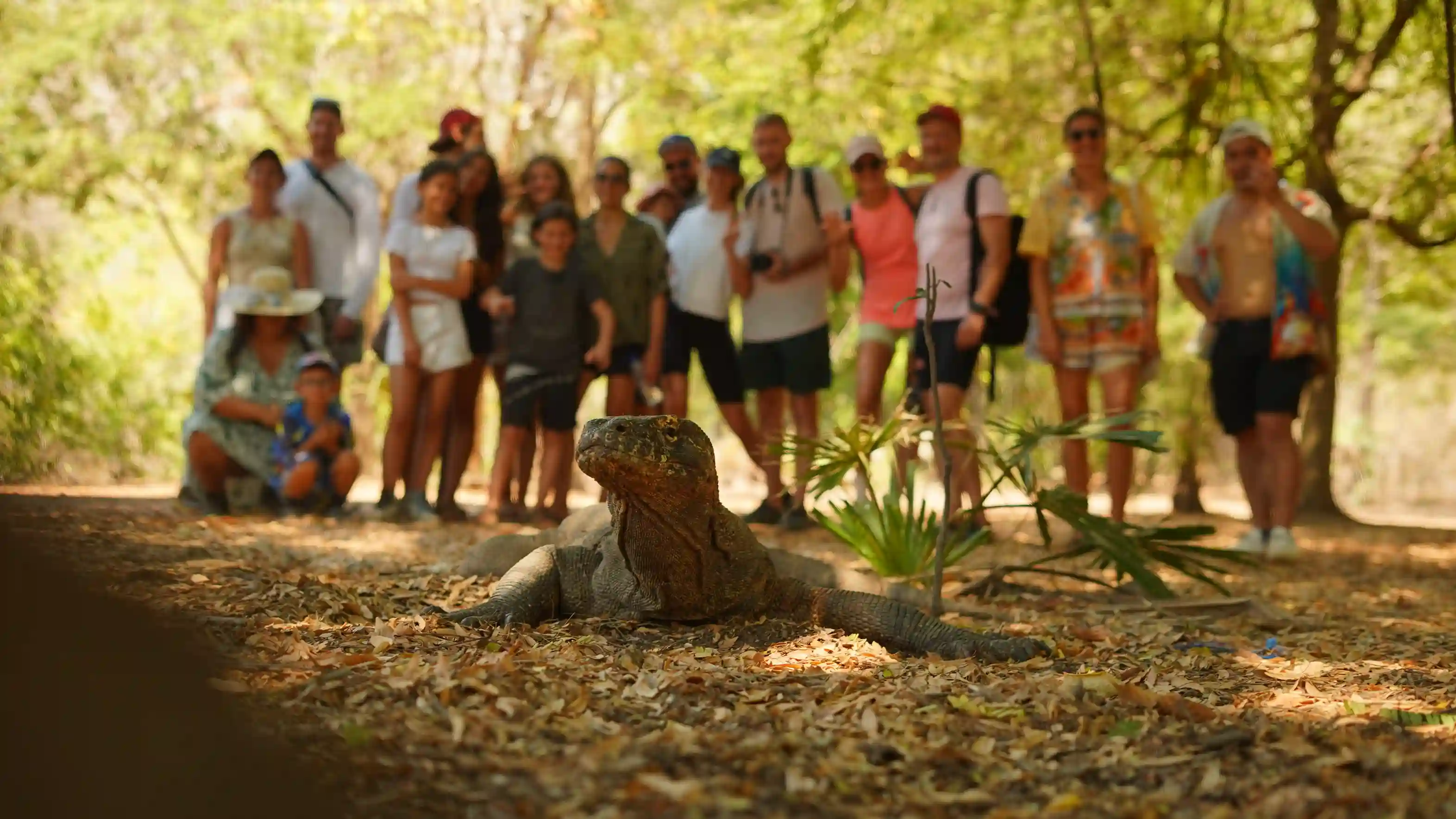 Shared 3 Day Komodo Tour | Komodo Tour | Komodo Luxury