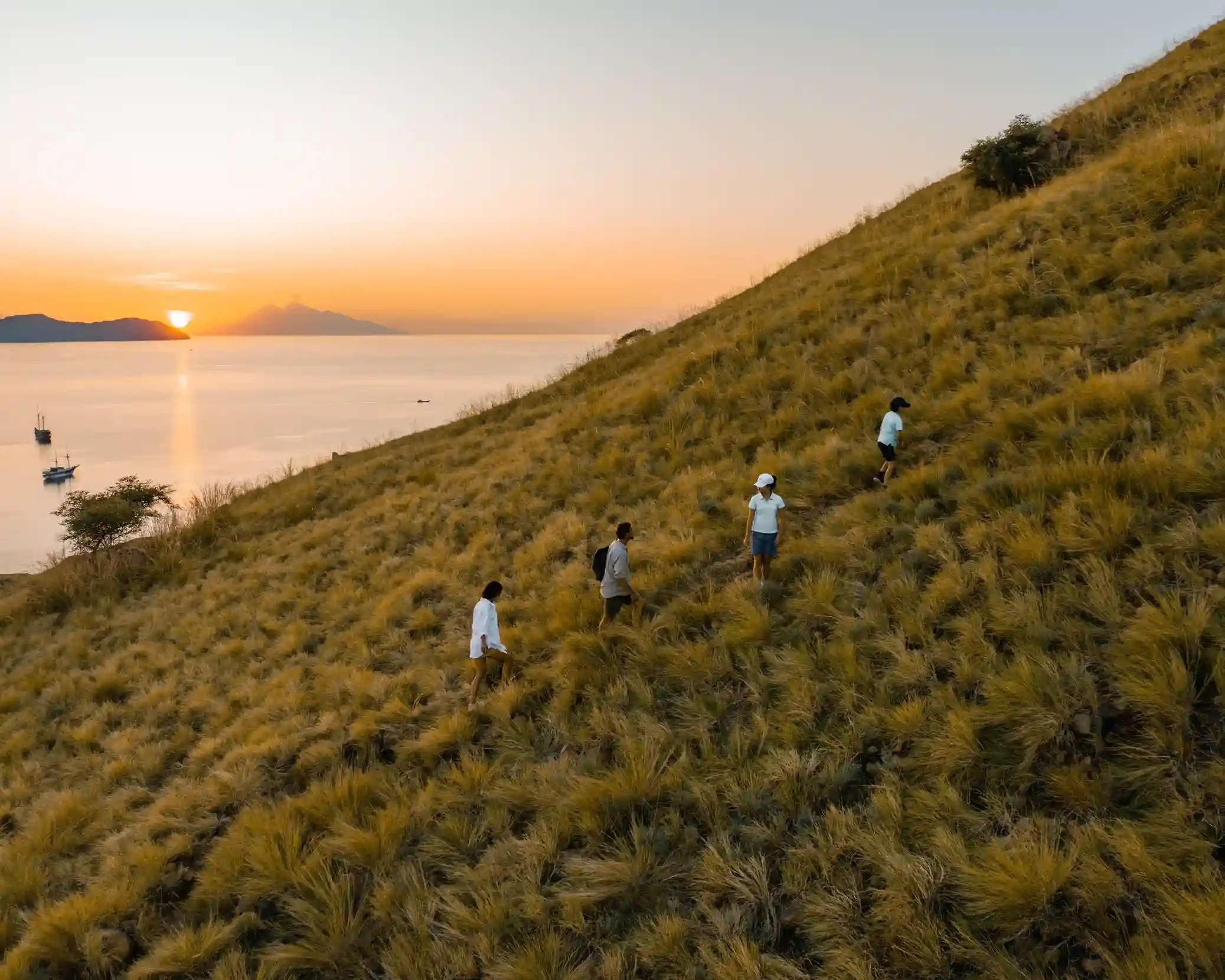 Raja Ampat Diving Underwater | Komodo Luxury