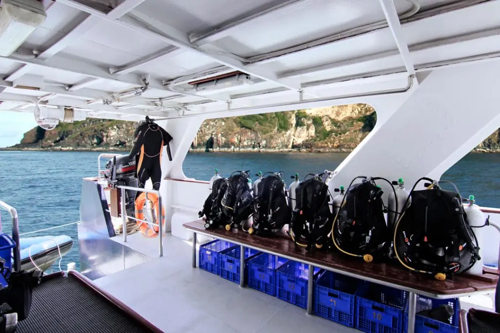 Dive deck Mermaid I | Komodo Luxury