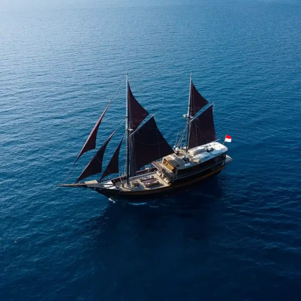 Dunia Baru Cruise Voyage Phinisi | Raja Ampat | Komodo Luxury