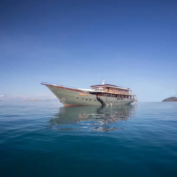 Emperor Harmoni Yacht Cruise Phinisi - KomodoLuxury