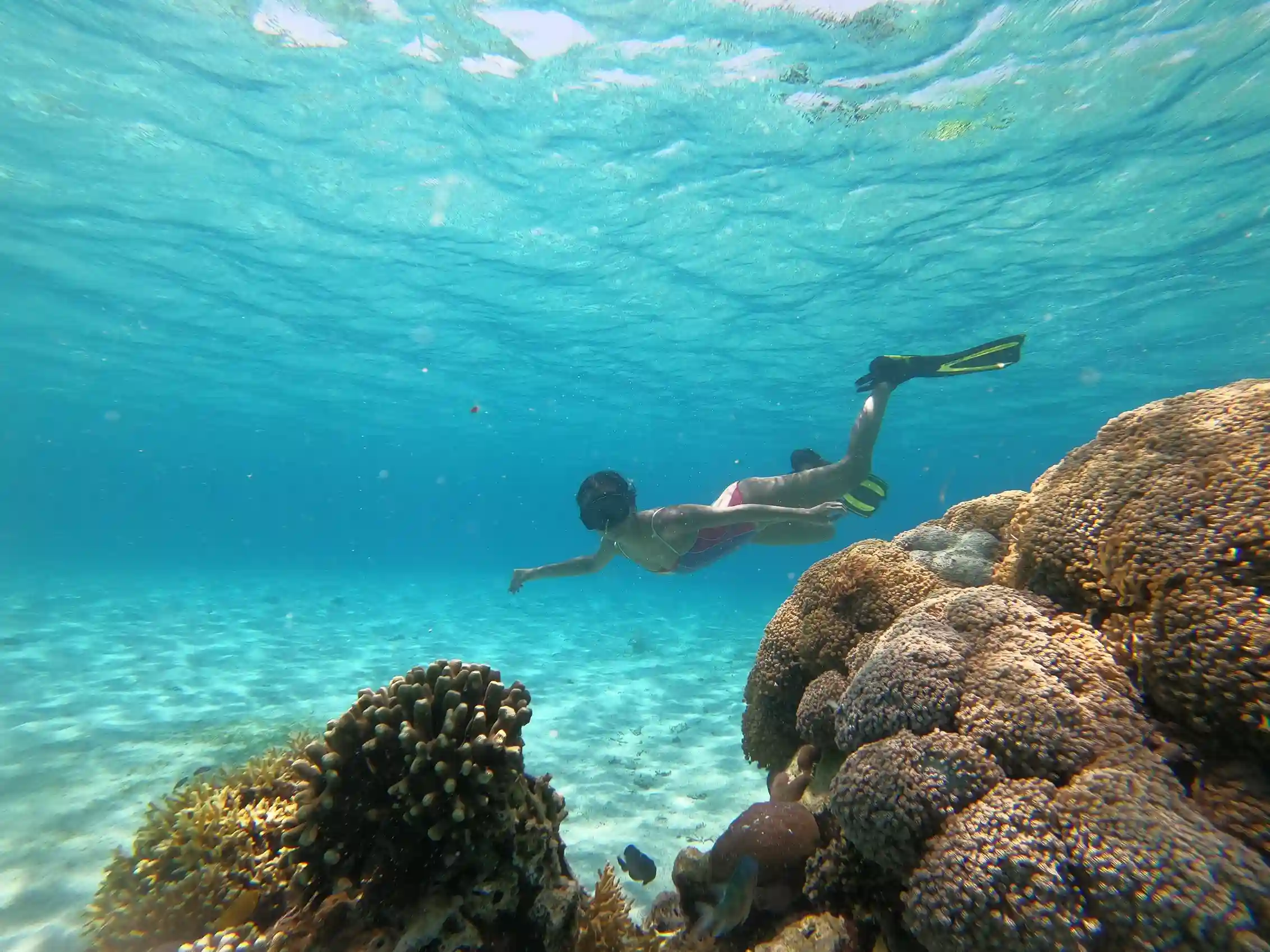 Snorkeling on Siaba Island | Komodo National Park | Komodo Luxury