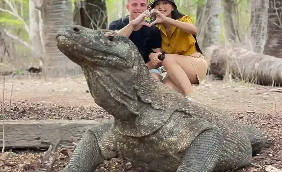 Komodo Tourpackage