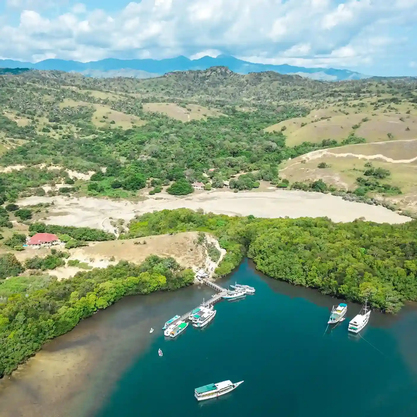 Komodo Island on Rinca Island | Komodo Tour | Komodo Luxury