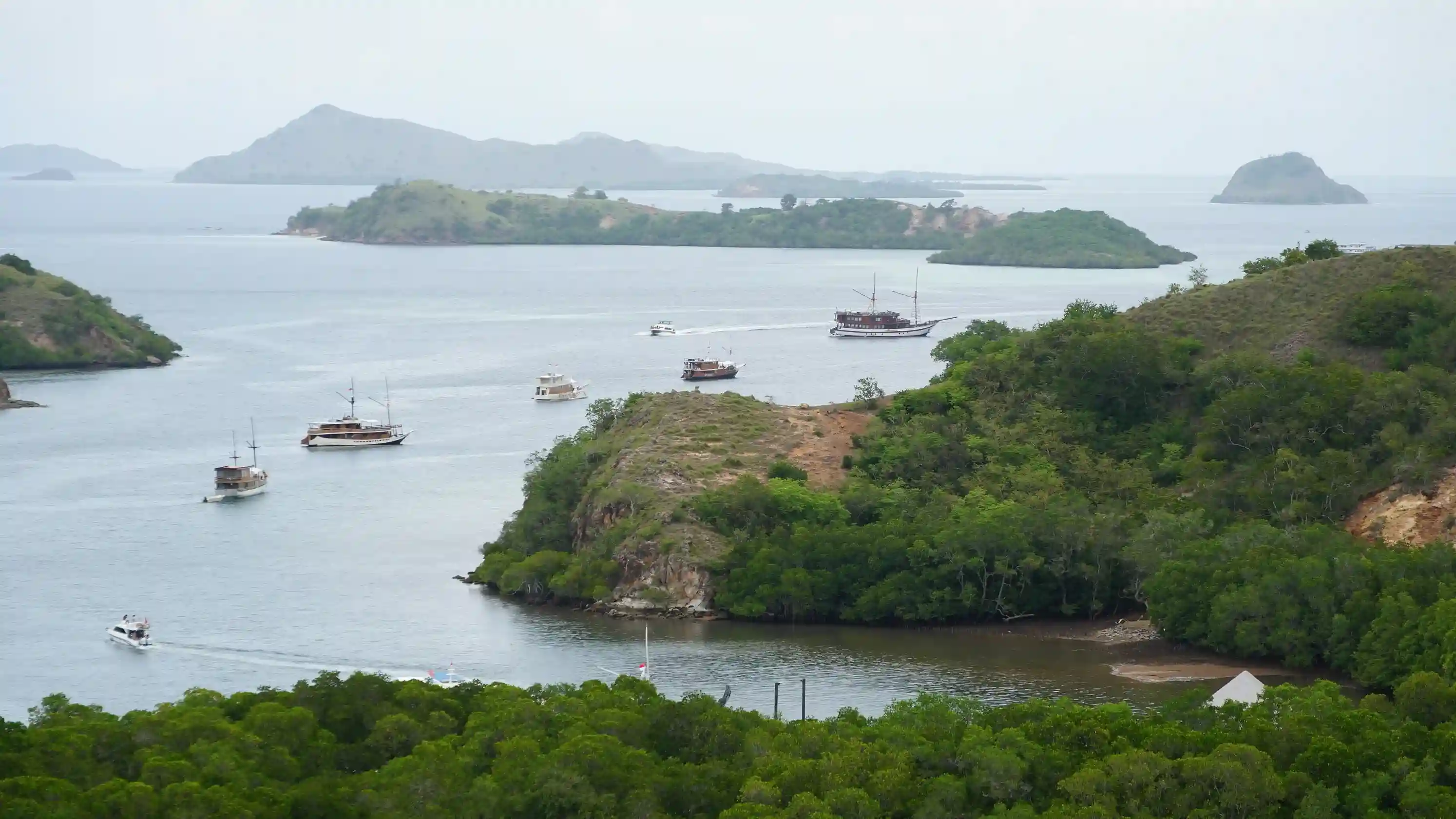 Komodo Island on Rinca Island | Komodo Tour | Komodo Luxury