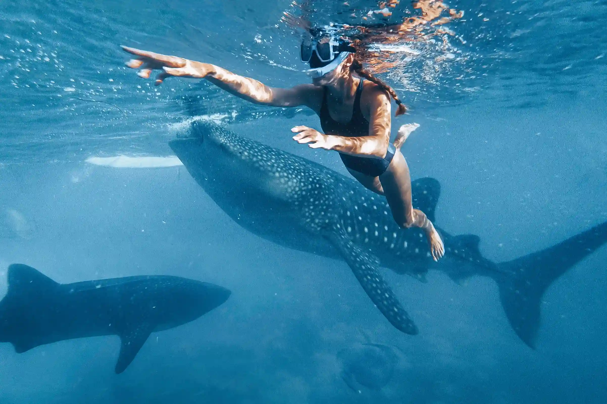 Lombok to Flores | Lombok Tour Package | Komodo Luxury