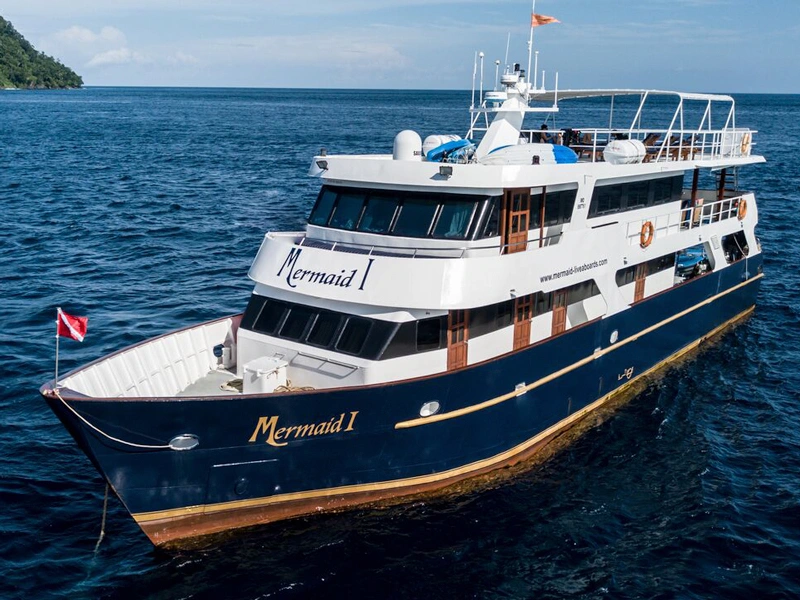 Mermaid I Cruise Voyage Phinisi | Raja Ampat | Komodo Luxury