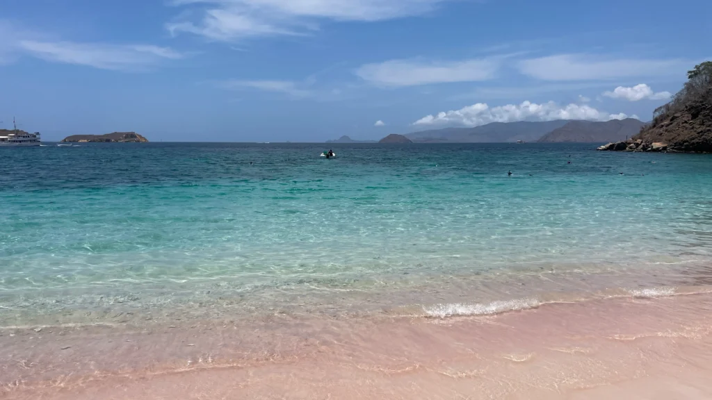 Pink Beach | Komodo National Park | Komodo tour by Komodo Luxury