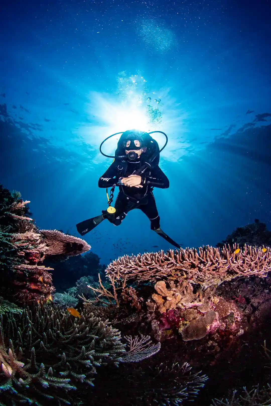 5 Days 4 Night | Raja Ampat Tour Packages | Raja Ampat Diving | Komodo Luxury