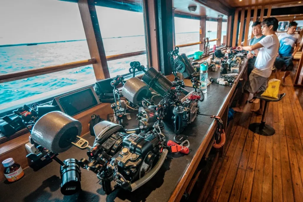 Sea Safari 8 Liveaboard | Komodo Luxury
