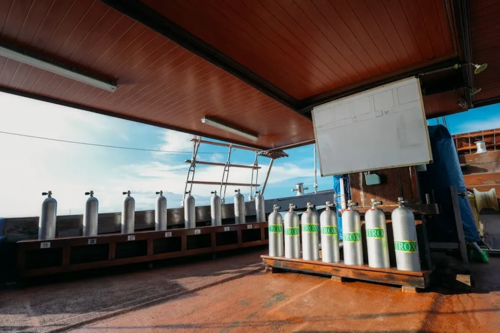 Sea Safari 8 Liveaboard | Komodo Luxury