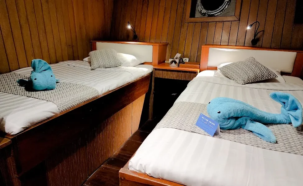 Sea Safari 8 twin cabin 2