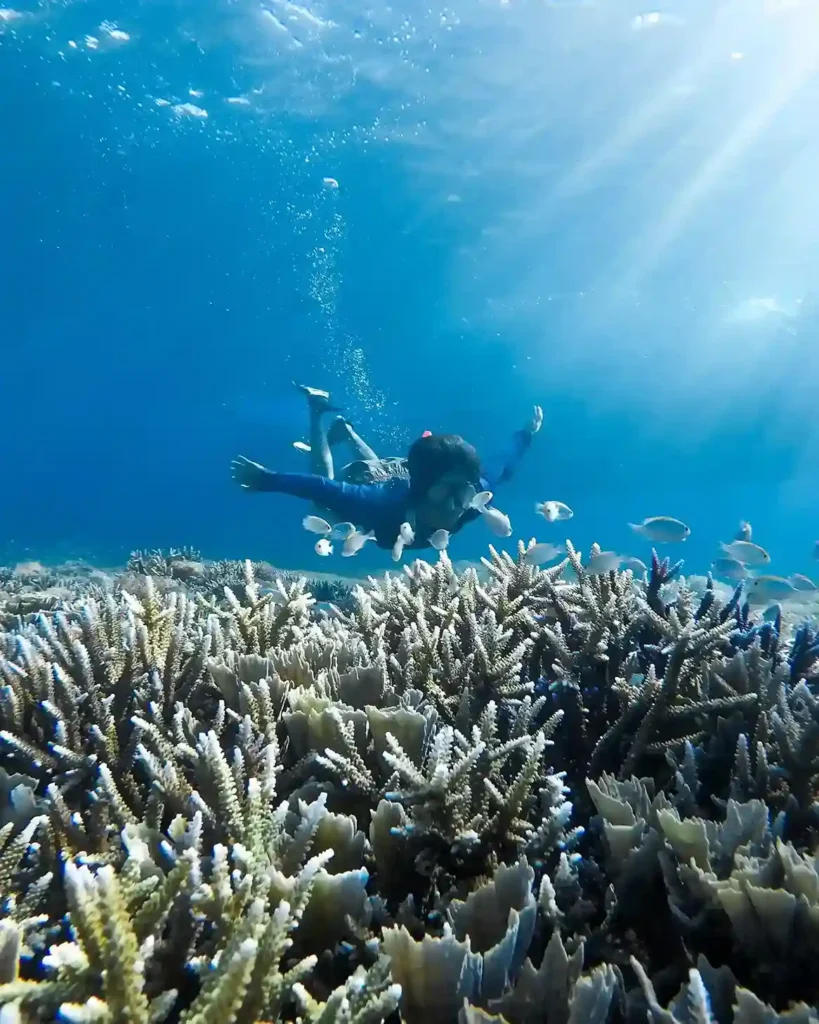 Sebayur Island Snorkeling 1 | Komodo Luxury