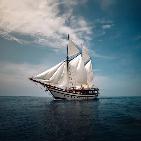 Senja Liveabord | Komodo Luxury