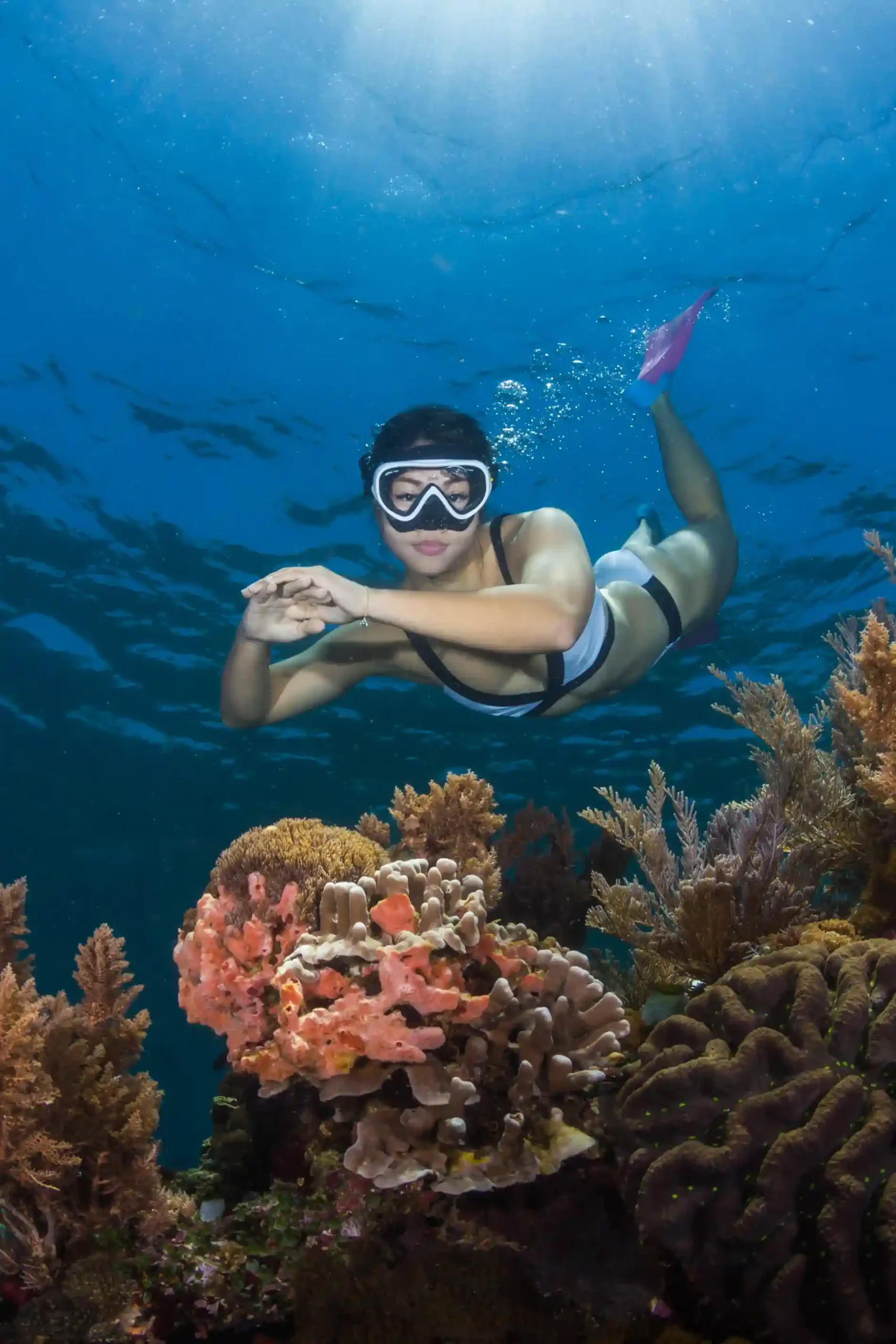 Snorkeling on Komodo National Park | Komodo Island Boat Tour | Komodo Tour