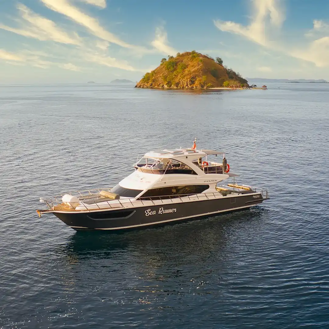 8 Days 7 Night | Komodo Tour | Komodo Luxury