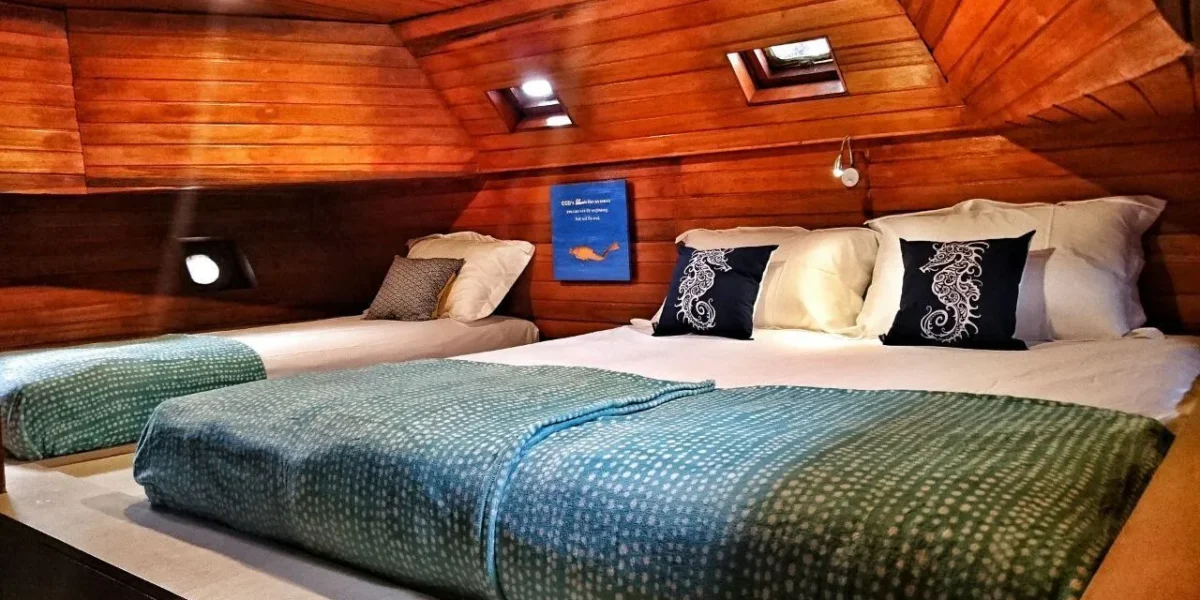Thalassa 1 diver room