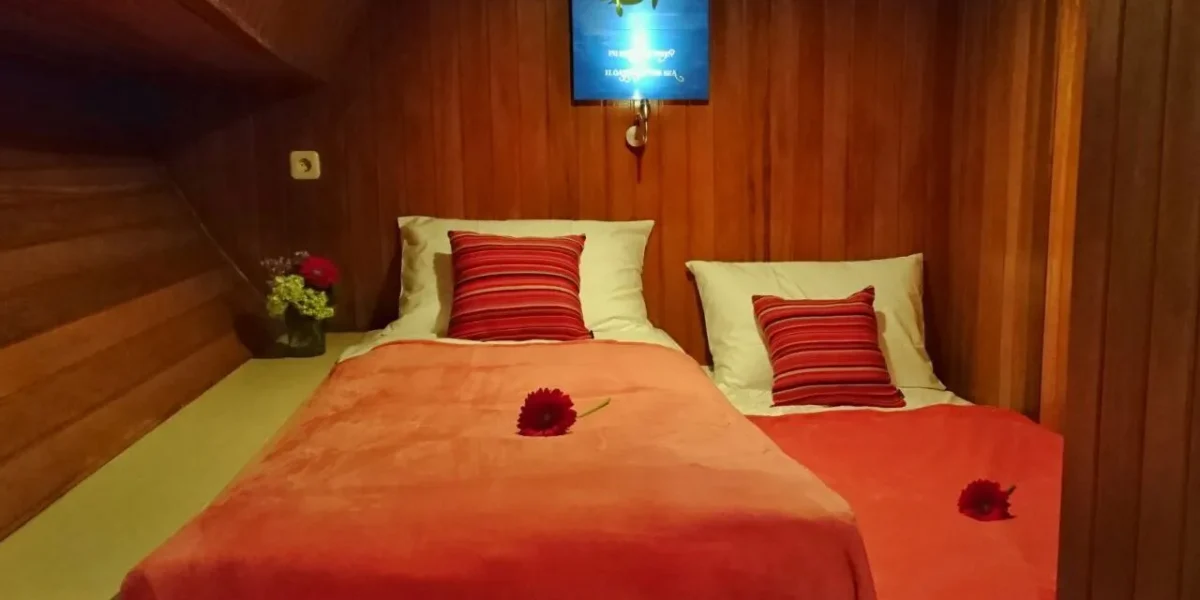 Thalassa 1 octopus & turtle room (Private Cabin)