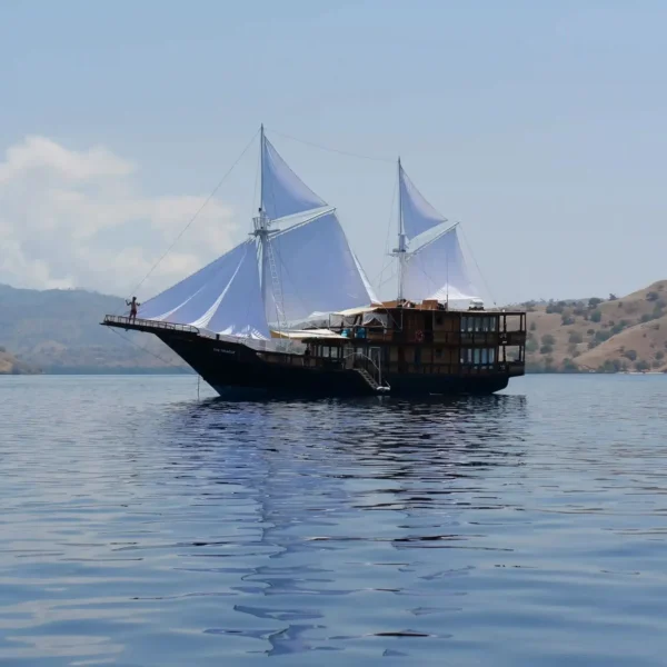 The Oracle Yacht | Komodo Luxury