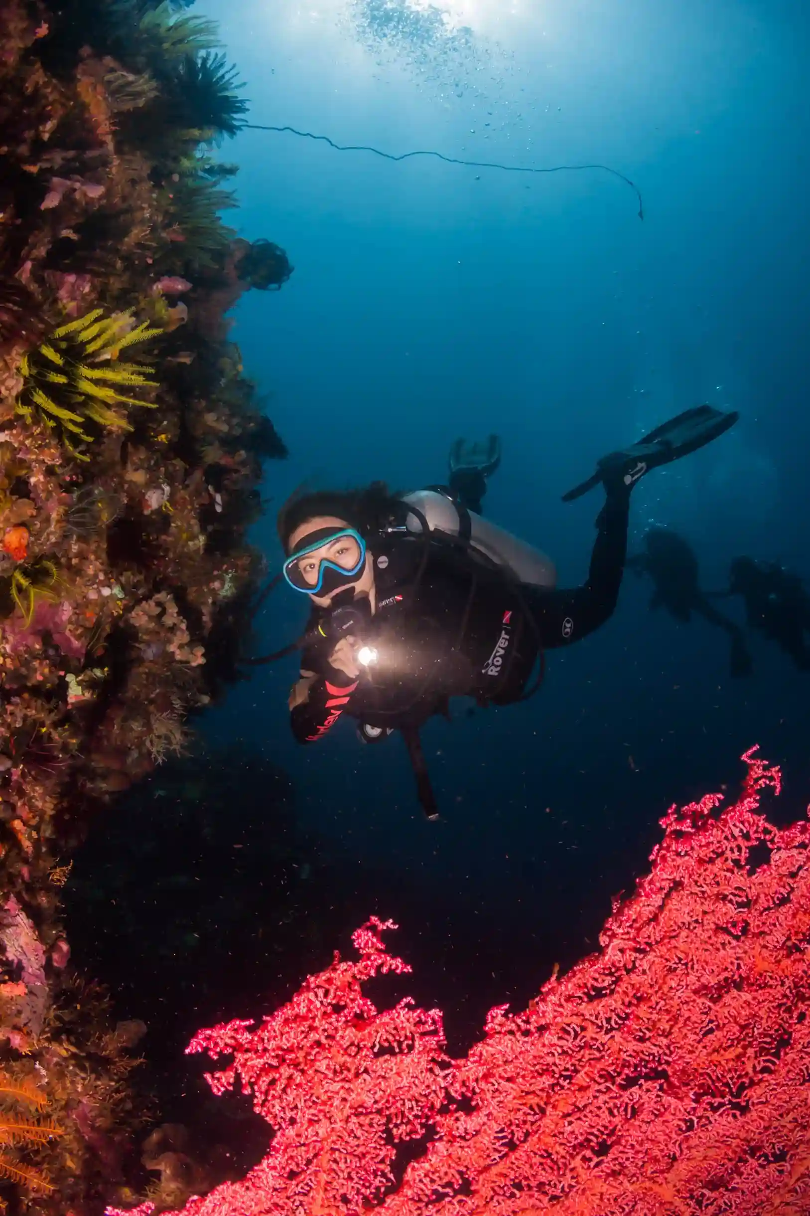 Maumere Tour Packages | Alor & Maumere | Luxury Phinisi Tour | Komodo Luxury